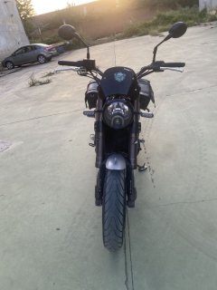 Benelli Lion Cub Leoncino 500 - photo 3