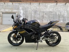 Voge 250RR - ფოტო 2