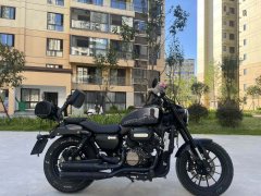 QJMOTOR Flash 250 - ფოტო 4