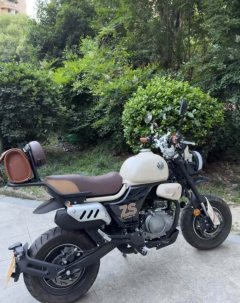 Zongshen Little Bear 150 cc - фото 2