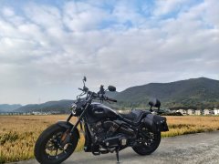 Xiangshuai YES Softail 250 cc - ფოტო 2