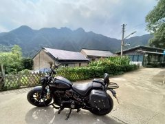 Xiangshuai YES Softail 250 cc - ფოტო 4
