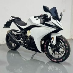 Kayo 250RR Thornbird - ფოტო 1