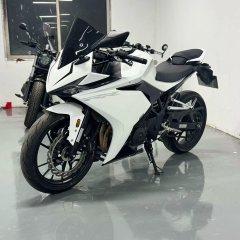 Kayo 250RR Thornbird - ფოტო 3