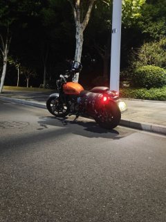 QJMOTOR 250 - фото 2