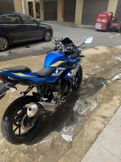 Haojue Suzuki GSX250R - photo 7