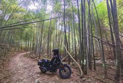 Honda CM500 - ფოტო 4