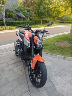 Kayo Cobra 321R 320 cc - ფოტო 1