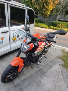 Kayo Cobra 321R 320 cc - ფოტო 2