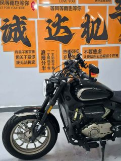 Voge CU250 - photo 9
