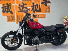Harley-Davidson Nightster 975 cc - ფოტო 4