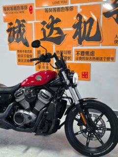 Harley-Davidson Nightster 975 cc - ფოტო 6