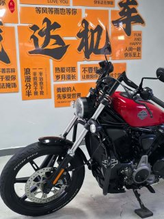 Harley-Davidson Nightster 975 cc - ფოტო 8
