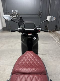 Weiduoliya Sixties 150Si - ფოტო 9