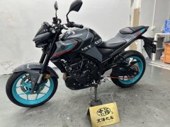 Yamaha MT-03 320 cc - ფოტო 2