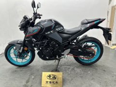 Yamaha MT-03 320 cc - ფოტო 3
