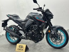 Yamaha MT-03 320 cc - ფოტო 6