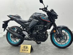 Yamaha MT-03 320 cc - ფოტო 7