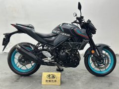 Yamaha MT-03 320 cc - ფოტო 8