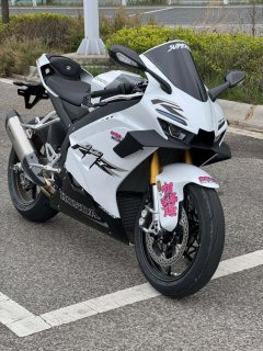 Zhangxue Motorcycles 820RR - ფოტო 3