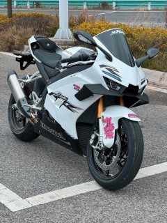 Zhangxue Motorcycles 820RR - ფოტო 4