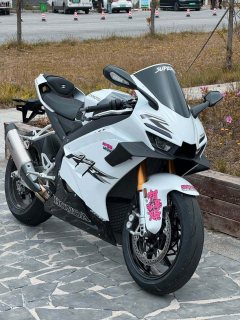 Zhangxue Motorcycles 820RR - ფოტო 6