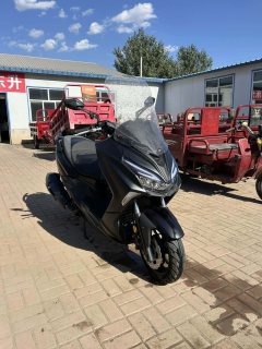 QJMOTOR Hong 250 - ფოტო 1