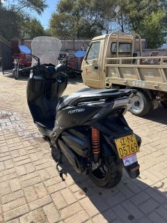QJMOTOR Hong 250 - ფოტო 4