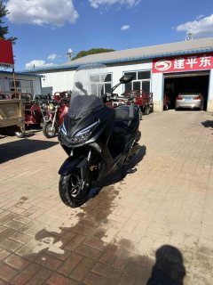 QJMOTOR Hong 250 - ფოტო 6