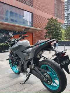 Yamaha MT-03 320 cc - ფოტო 8