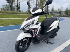 Sundiro Honda SDH125T-31 - ფოტო 1