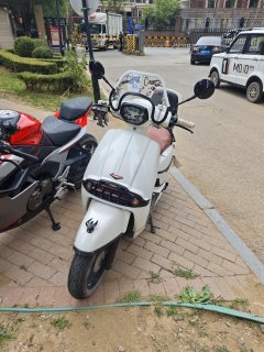 Weiduoliya Sixties 150i - ფოტო 1