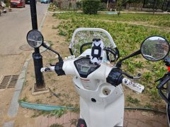 Weiduoliya Sixties 150i - ფოტო 4