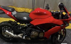 QJMOTOR Sai 600 - photo 4