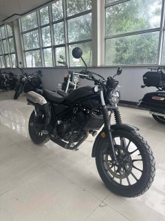 Honda CL300 - ფოტო 1