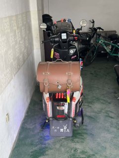 Weiduoliya Sixties 250Si - ფოტო 2