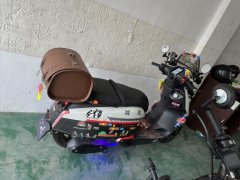 Weiduoliya Sixties 250Si - ფოტო 3