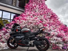 CFMOTO 450SR - ფოტო 3