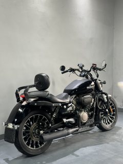 Benda Polestones 03 Gray 300 cc - ფოტო 3
