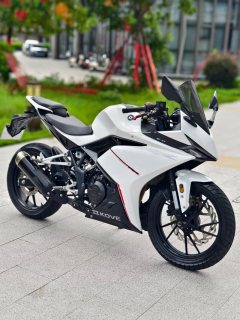 Kayo 250RR Thornbird - ფოტო 1