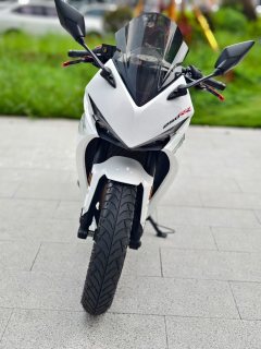 Kayo 250RR Thornbird - ფოტო 2