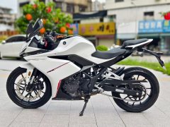 Kayo 250RR Thornbird - ფოტო 3