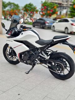 Kayo 250RR Thornbird - ფოტო 4