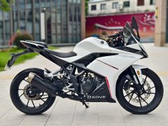 Kayo 250RR Thornbird - ფოტო 6
