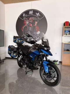 Triumph Tiger 850 900 cc - ფოტო 7