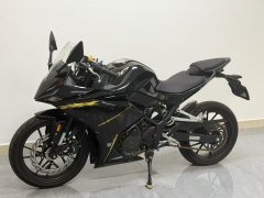 Kayo 250RR Thornbird - фото 1