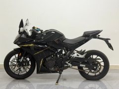 Kayo 250RR Thornbird - фото 2