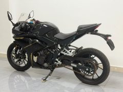 Kayo 250RR Thornbird - фото 3