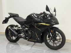 Kayo 250RR Thornbird - фото 4