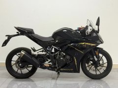 Kayo 250RR Thornbird - фото 5